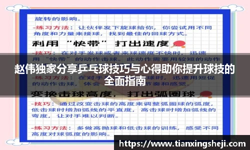 谈球吧赵伟独家分享乒乓球技巧与心得助你提升球技的全面指南